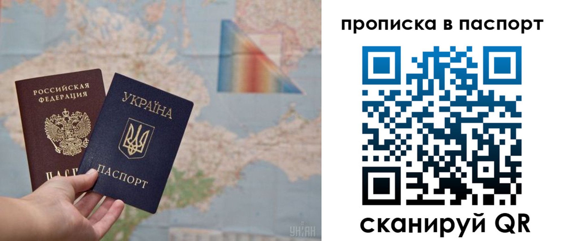 прописка поиск в Клинцах